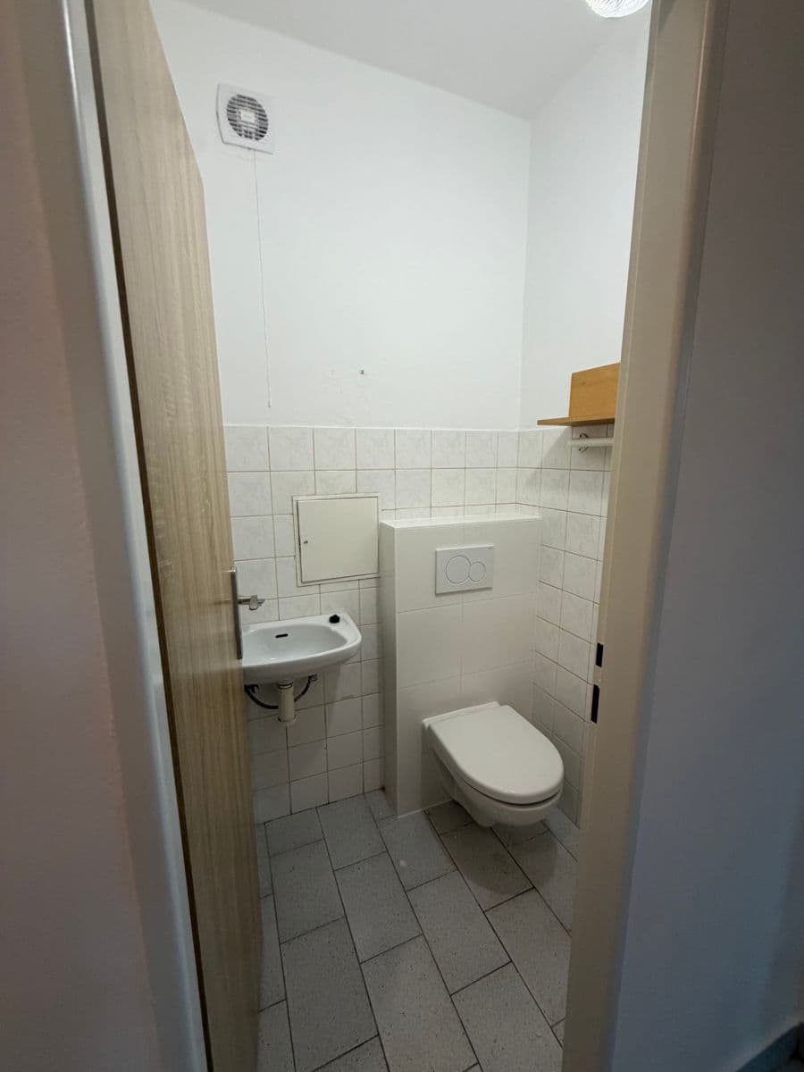 1 bedroom with open-plan kitchen flat to rent, 65 m², Na Luzích, Prague, Prague 1 bedroom with open-plan kitchen flat to rent, 65 m², Na Luzích, Prague, Prague
