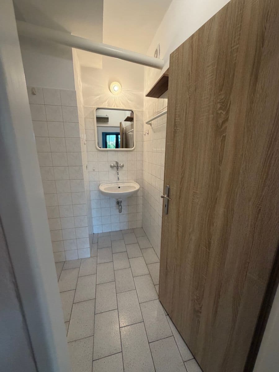 1 bedroom with open-plan kitchen flat to rent, 65 m², Na Luzích, Prague, Prague 1 bedroom with open-plan kitchen flat to rent, 65 m², Na Luzích, Prague, Prague