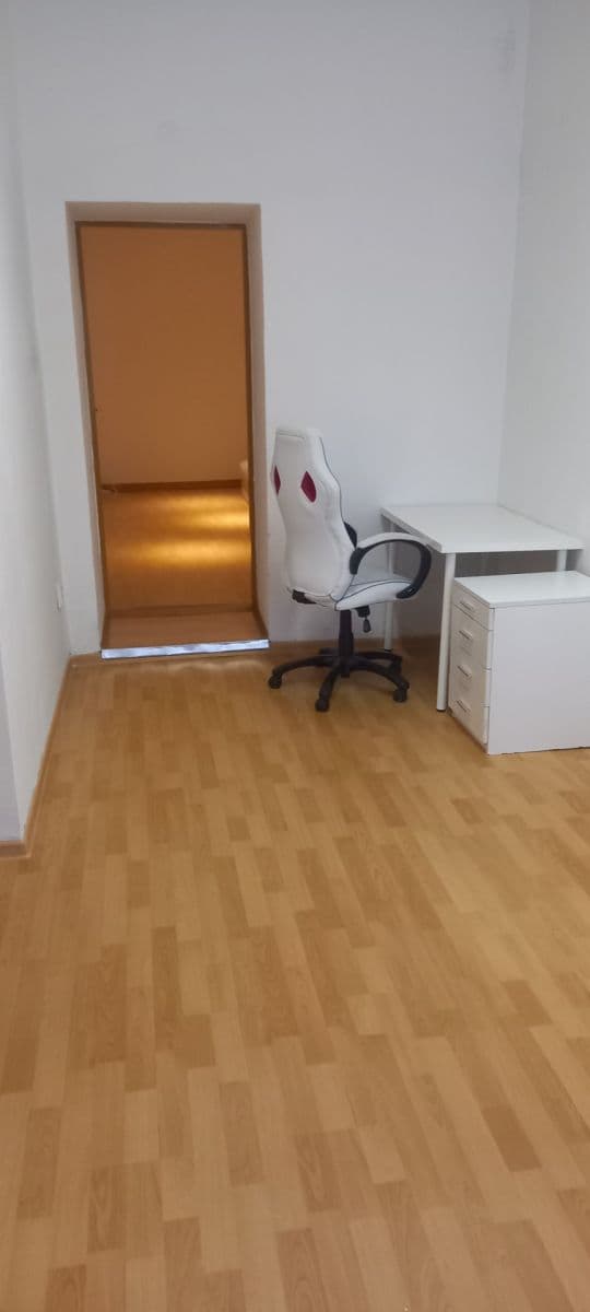 2 bedroom with open-plan kitchen flat to rent, 57 m², Bayerova, Brno, Jihomoravský Region 2 bedroom with open-plan kitchen flat to rent, 57 m², Bayerova, Brno, Jihomoravský Region