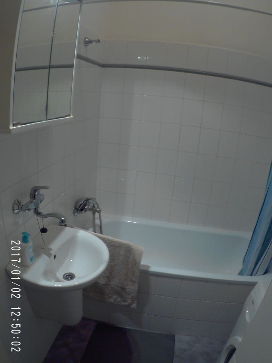 1 bedroom with open-plan kitchen flat to rent, 38 m², 5. května, Prague, Prague 1 bedroom with open-plan kitchen flat to rent, 38 m², 5. května, Prague, Prague