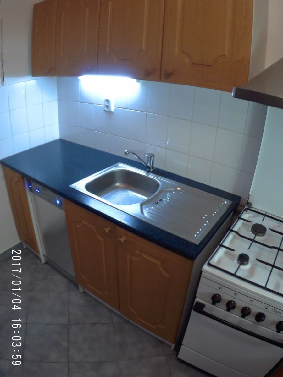 1 bedroom with open-plan kitchen flat to rent, 38 m², 5. května, Prague, Prague 1 bedroom with open-plan kitchen flat to rent, 38 m², 5. května, Prague, Prague