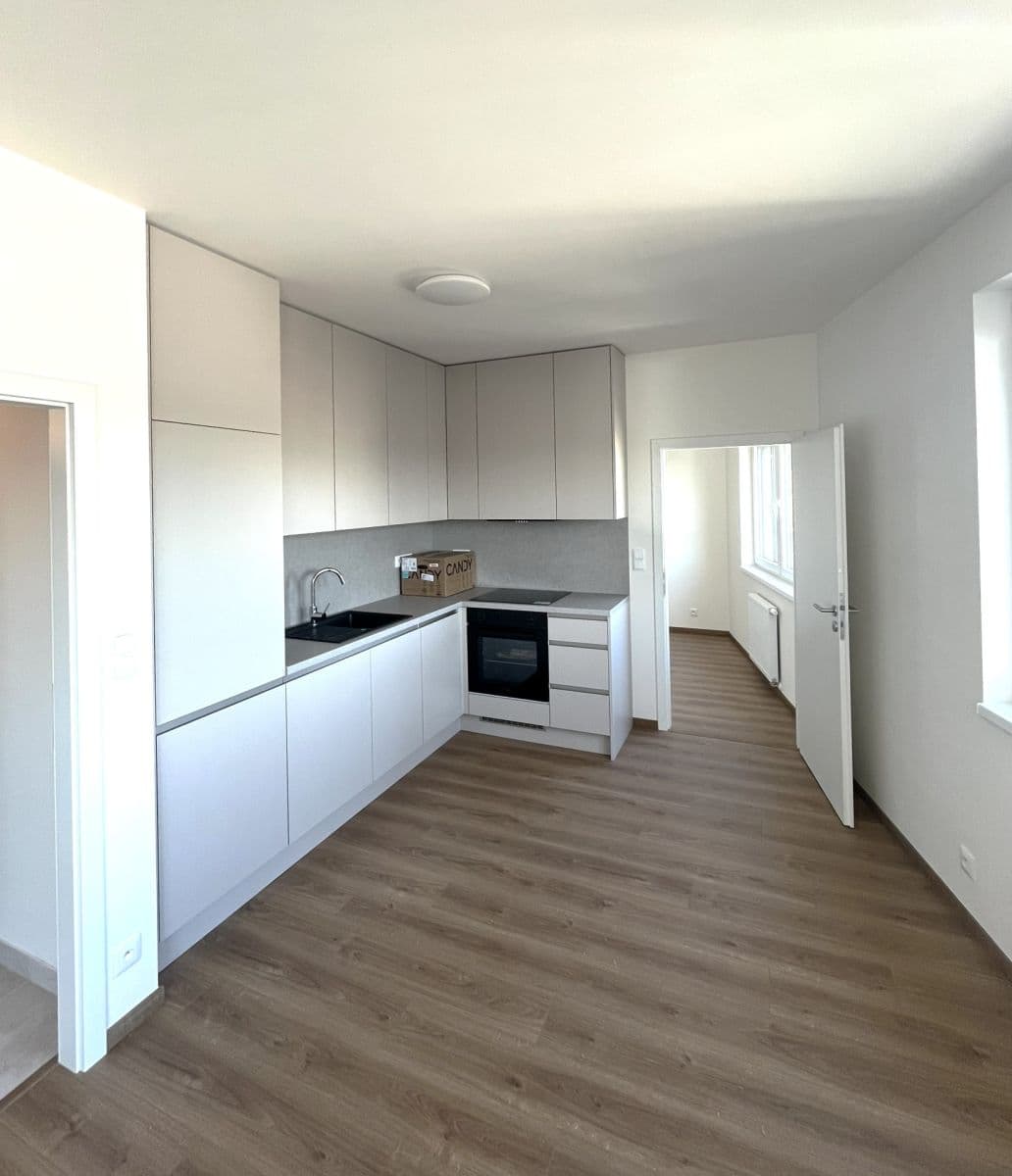 1 bedroom with open-plan kitchen flat to rent, 59 m², Gerstelova, Prague, Prague 1 bedroom with open-plan kitchen flat to rent, 59 m², Gerstelova, Prague, Prague