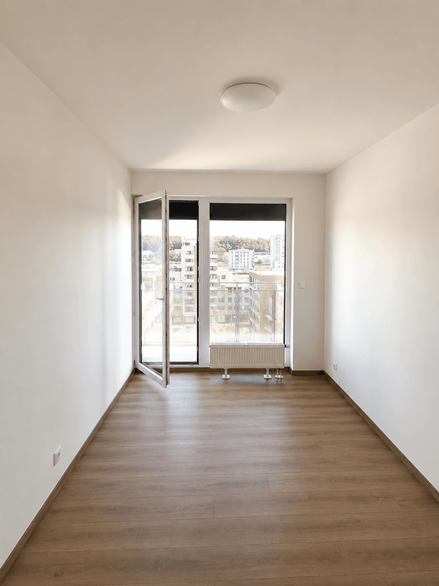 1 bedroom with open-plan kitchen flat to rent, 64 m², Gerstelova, Prague, Prague 1 bedroom with open-plan kitchen flat to rent, 64 m², Gerstelova, Prague, Prague