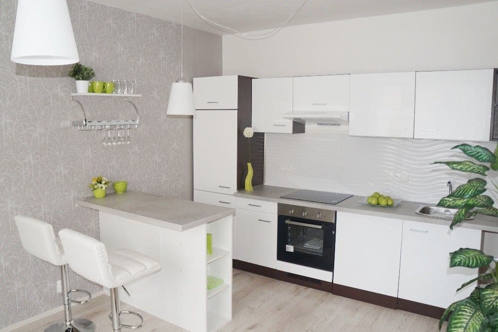 1 bedroom with open-plan kitchen flat for sale, 36 m², Starobylá, Prague, Prague 1 bedroom with open-plan kitchen flat for sale, 36 m², Starobylá, Prague, Prague