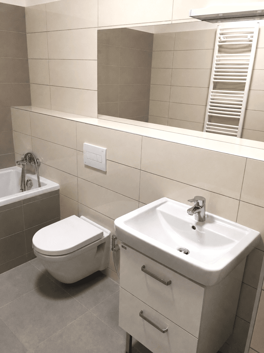 1 bedroom with open-plan kitchen flat to rent, 60 m², Zlochova, Prague, Prague 1 bedroom with open-plan kitchen flat to rent, 60 m², Zlochova, Prague, Prague