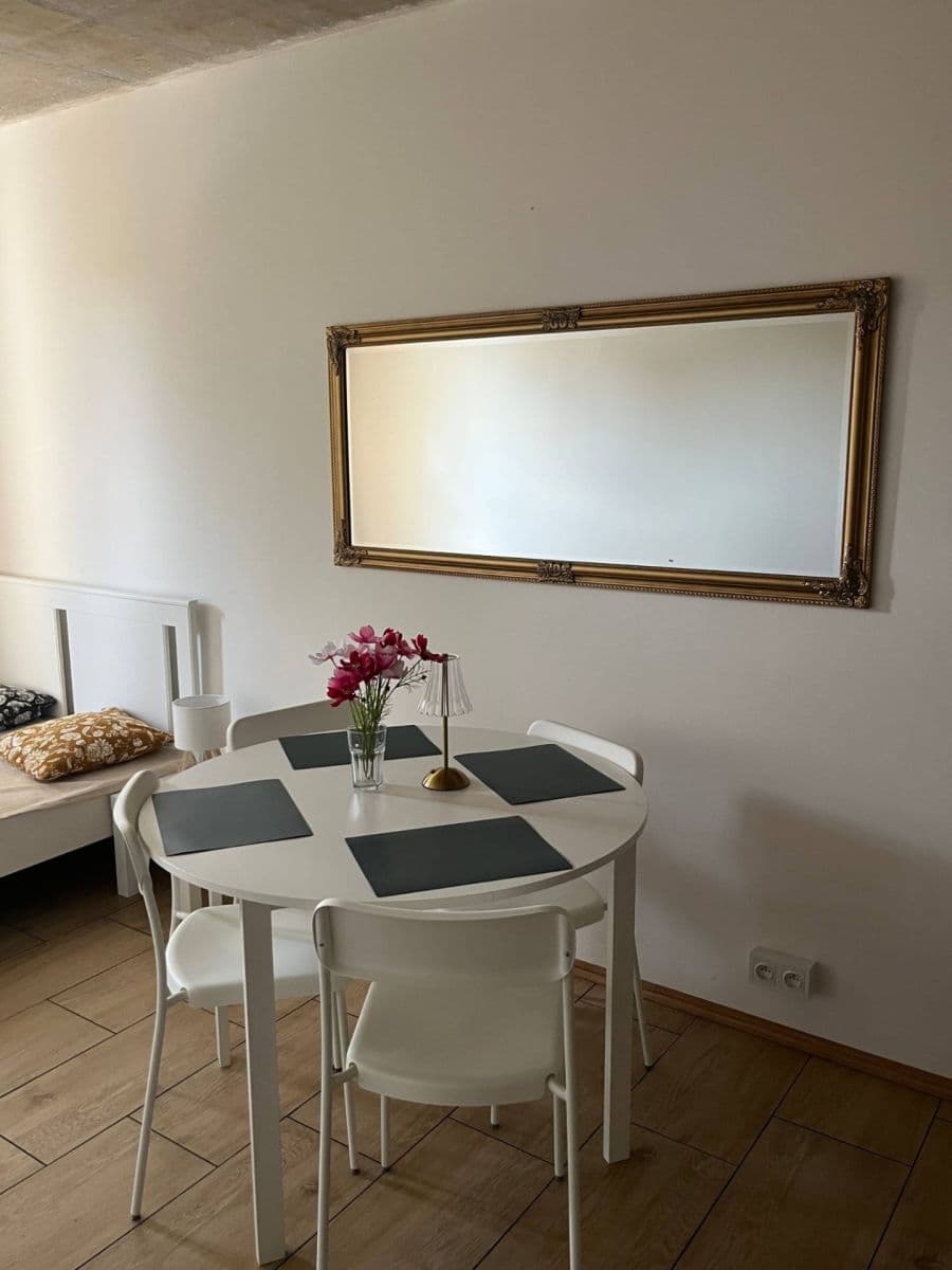 Studio flat to rent, 25 m², Pražská, Prague, Prague Studio flat to rent, 25 m², Pražská, Prague, Prague