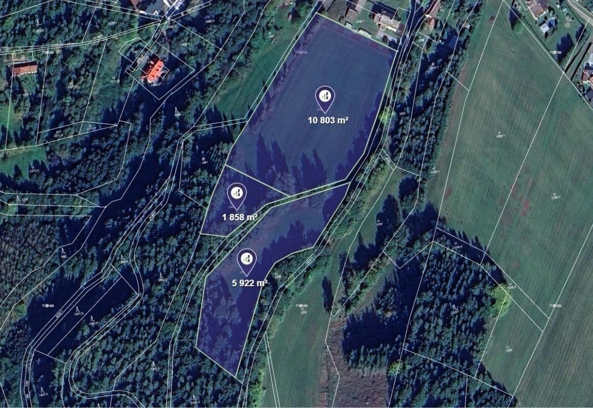 plot for sale, 18,583 m², Čistá u Horek, Liberecký Region plot for sale, 18,583 m², Čistá u Horek, Liberecký Region