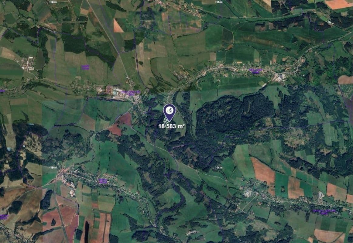 plot for sale, 18,583 m², Čistá u Horek, Liberecký Region plot for sale, 18,583 m², Čistá u Horek, Liberecký Region