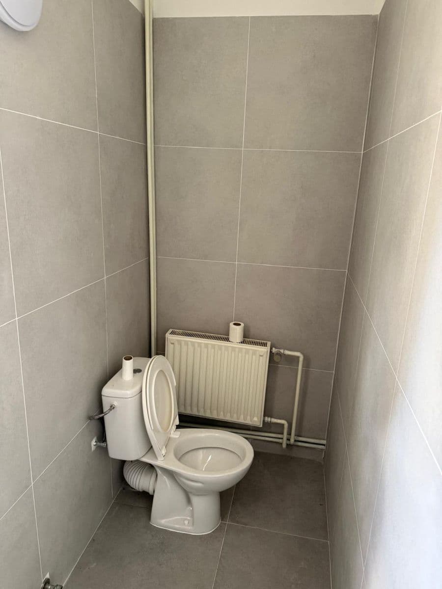 1 bedroom with open-plan kitchen flat to rent, 50 m², Na Samotě, Prague, Prague 1 bedroom with open-plan kitchen flat to rent, 50 m², Na Samotě, Prague, Prague