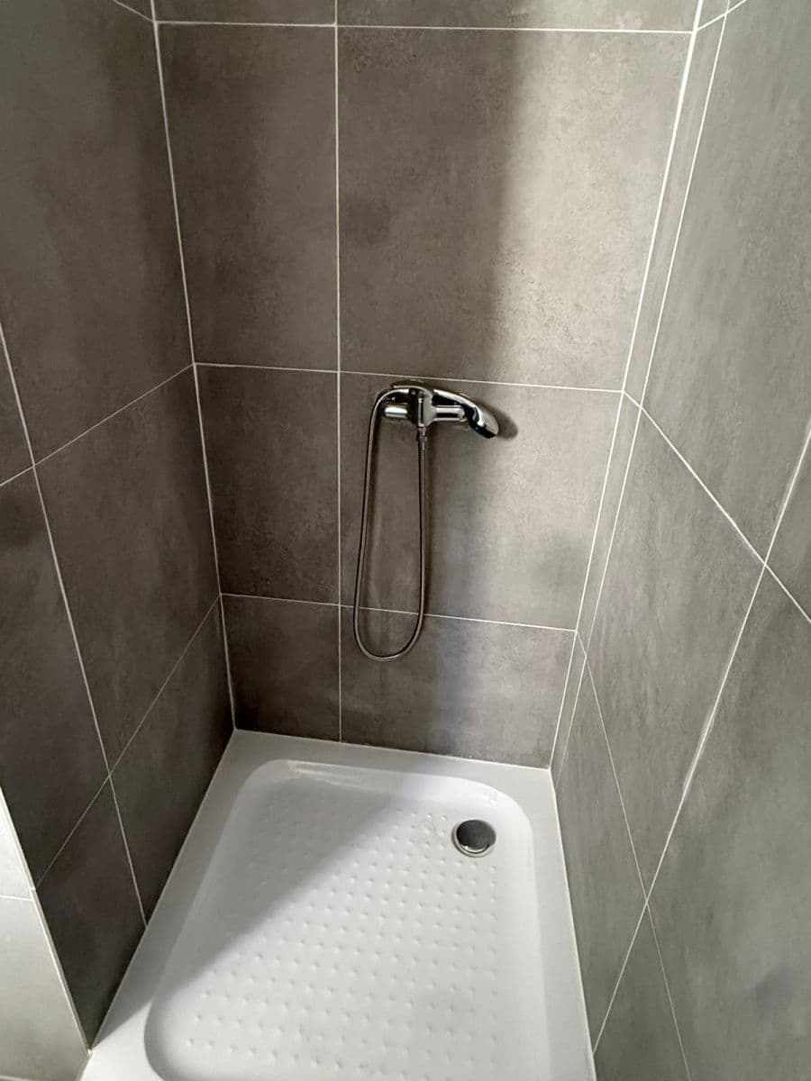 1 bedroom with open-plan kitchen flat to rent, 50 m², Na Samotě, Prague, Prague 1 bedroom with open-plan kitchen flat to rent, 50 m², Na Samotě, Prague, Prague