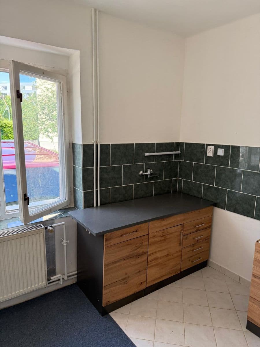 1 bedroom with open-plan kitchen flat to rent, 50 m², Na Samotě, Prague, Prague 1 bedroom with open-plan kitchen flat to rent, 50 m², Na Samotě, Prague, Prague