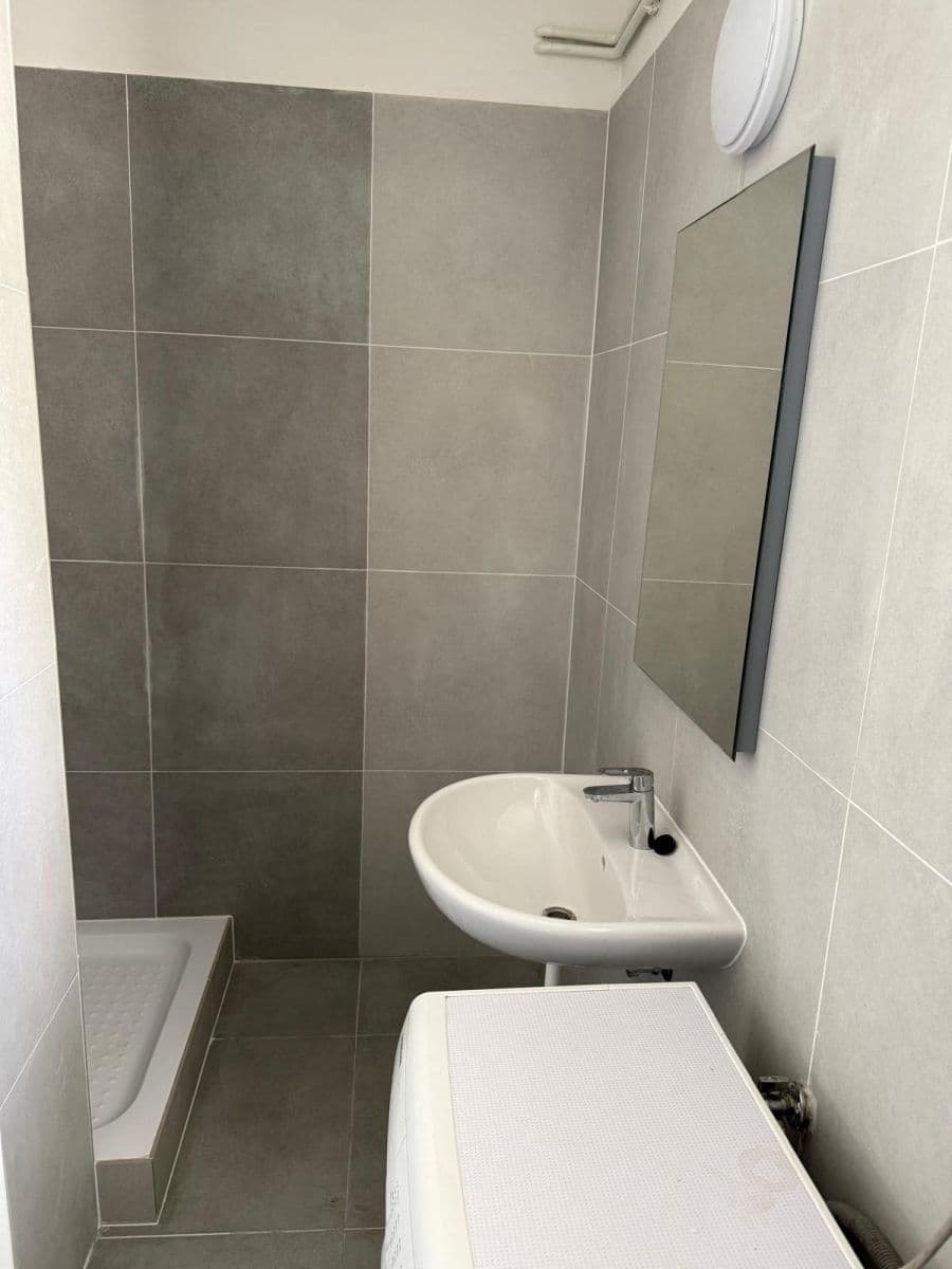 1 bedroom with open-plan kitchen flat to rent, 50 m², Na Samotě, Prague, Prague 1 bedroom with open-plan kitchen flat to rent, 50 m², Na Samotě, Prague, Prague