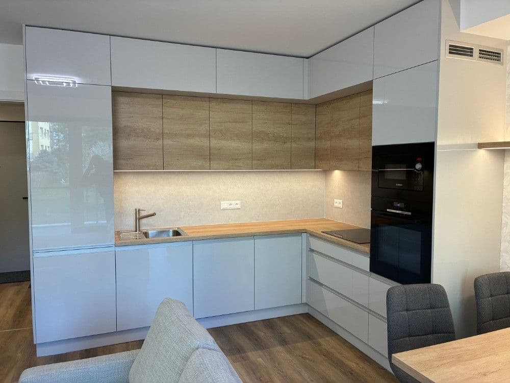 1 bedroom with open-plan kitchen flat to rent, 56 m², Rostislavovo náměstí, Brno, Jihomoravský Region 1 bedroom with open-plan kitchen flat to rent, 56 m², Rostislavovo náměstí, Brno, Jihomoravský Region