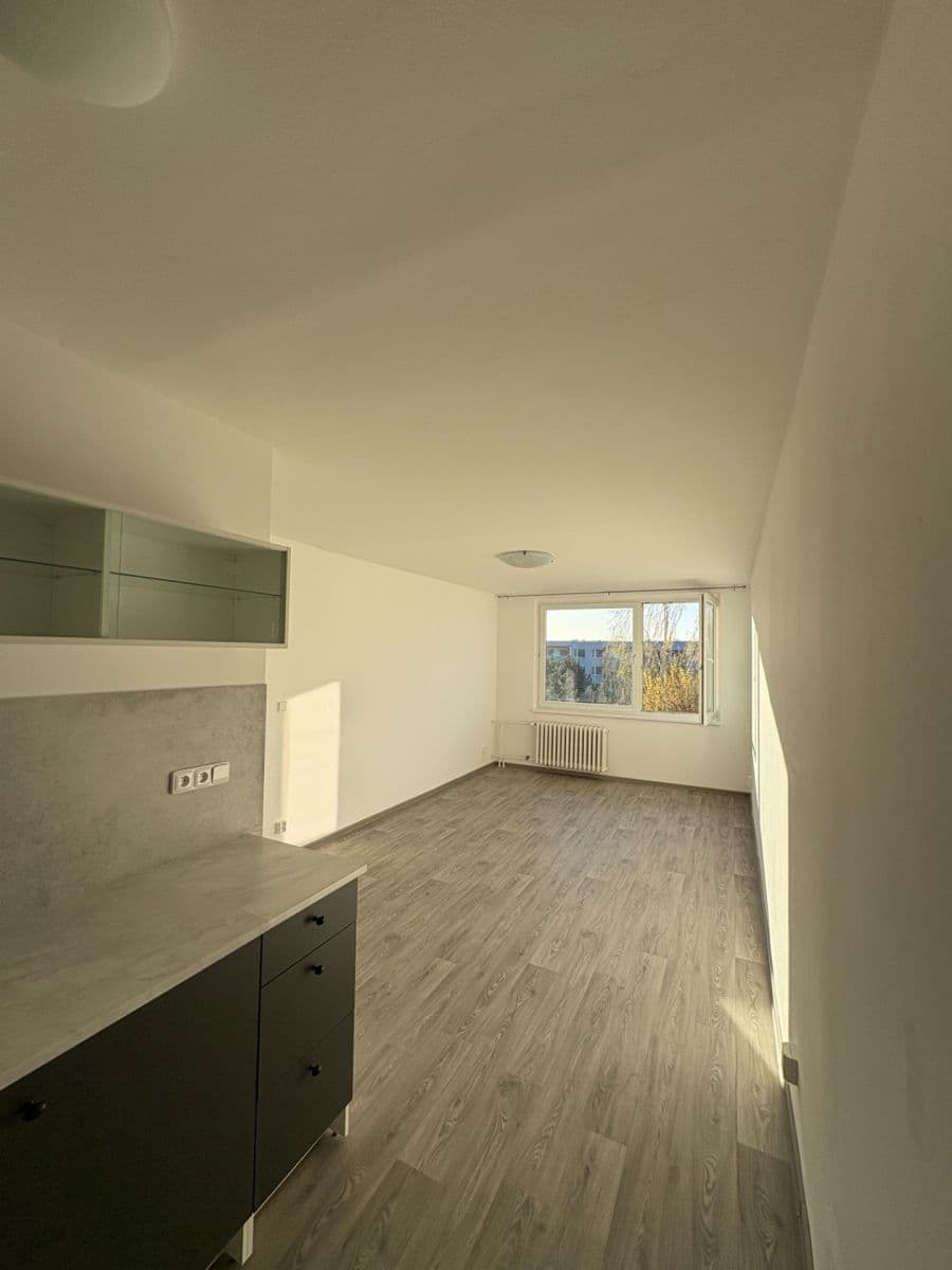 1 bedroom with open-plan kitchen flat to rent, 42 m², V Aleji, Poděbrady, Středočeský Region 1 bedroom with open-plan kitchen flat to rent, 42 m², V Aleji, Poděbrady, Středočeský Region