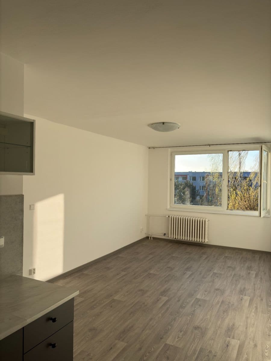 1 bedroom with open-plan kitchen flat to rent, 42 m², V Aleji, Poděbrady, Středočeský Region 1 bedroom with open-plan kitchen flat to rent, 42 m², V Aleji, Poděbrady, Středočeský Region