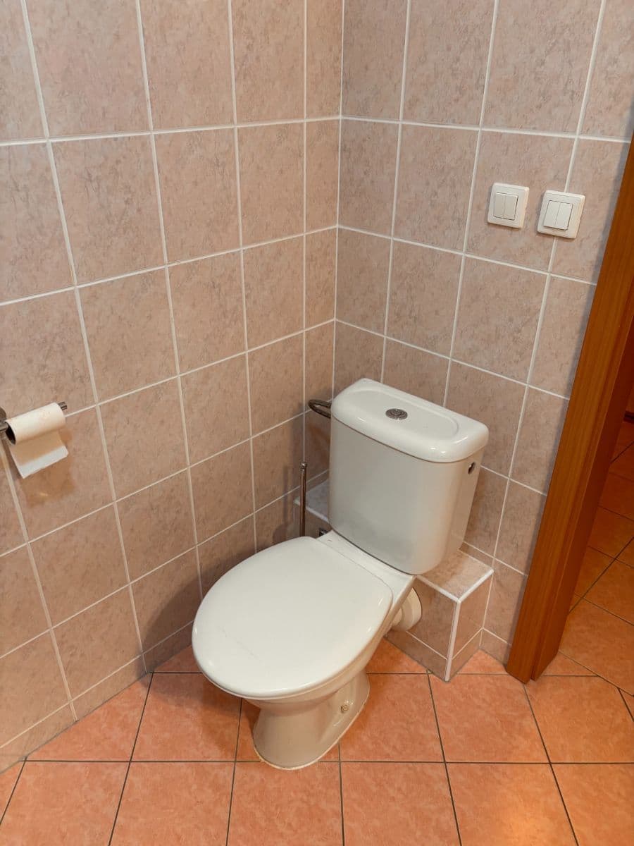 Studio flat to rent, 30 m², Boloňská, Prague, Prague Studio flat to rent, 30 m², Boloňská, Prague, Prague