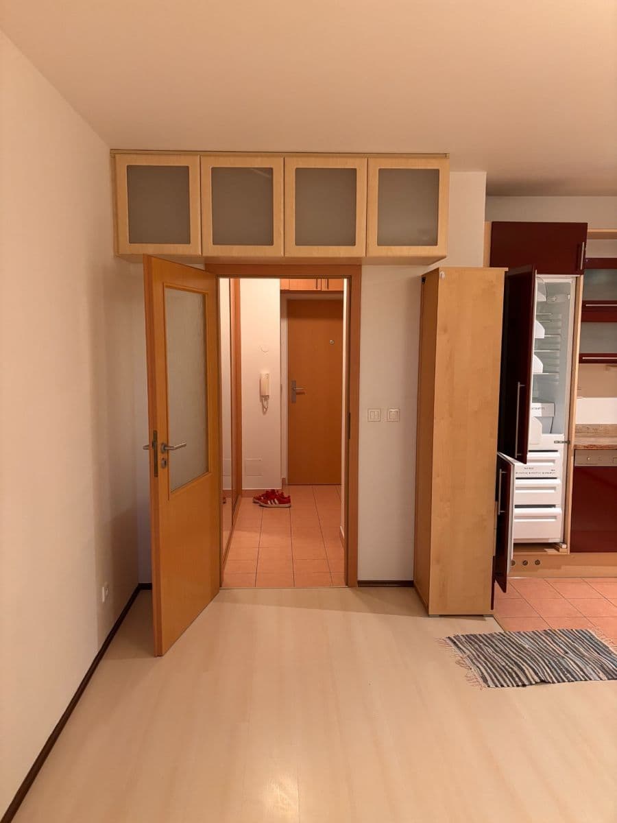 Studio flat to rent, 30 m², Boloňská, Prague, Prague Studio flat to rent, 30 m², Boloňská, Prague, Prague