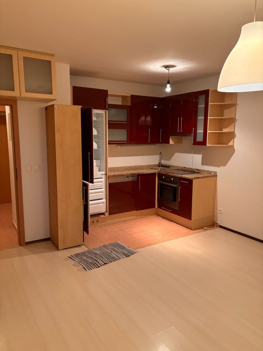 Studio flat to rent, 30 m², Boloňská, Prague, Prague Studio flat to rent, 30 m², Boloňská, Prague, Prague