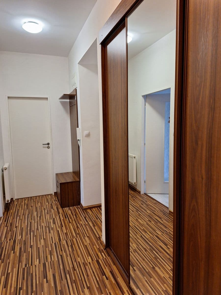 1 bedroom with open-plan kitchen flat to rent, 54 m², Služská, Prague, Prague 1 bedroom with open-plan kitchen flat to rent, 54 m², Služská, Prague, Prague