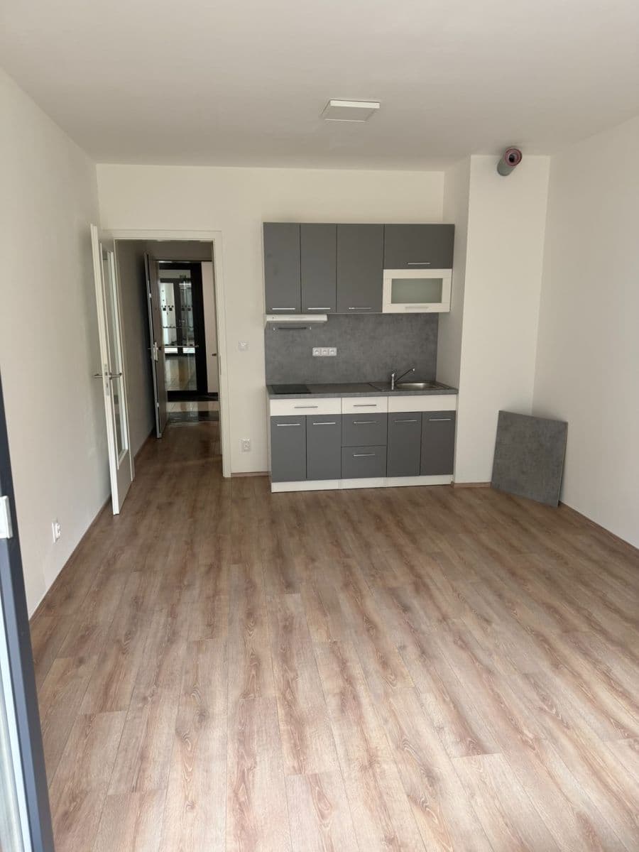 Studio flat to rent, 42 m², Spolková, Brno, Jihomoravský Region Studio flat to rent, 42 m², Spolková, Brno, Jihomoravský Region