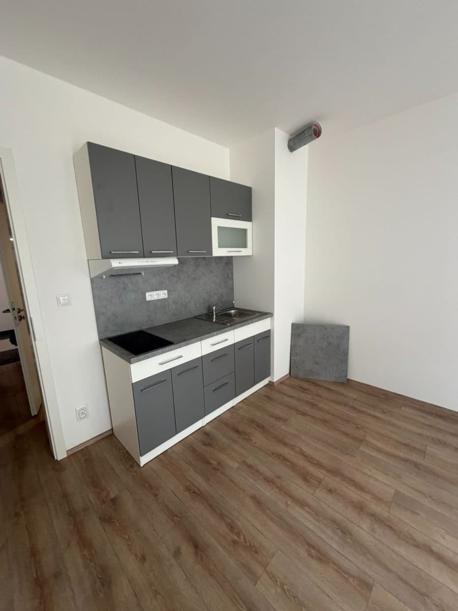 Studio flat to rent, 42 m², Spolková, Brno, Jihomoravský Region Studio flat to rent, 42 m², Spolková, Brno, Jihomoravský Region