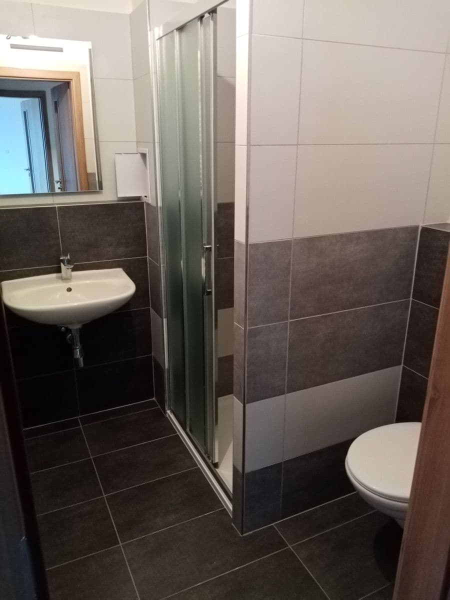 1 bedroom with open-plan kitchen flat to rent, 45 m², Zborovská, Jince, Středočeský Region 1 bedroom with open-plan kitchen flat to rent, 45 m², Zborovská, Jince, Středočeský Region