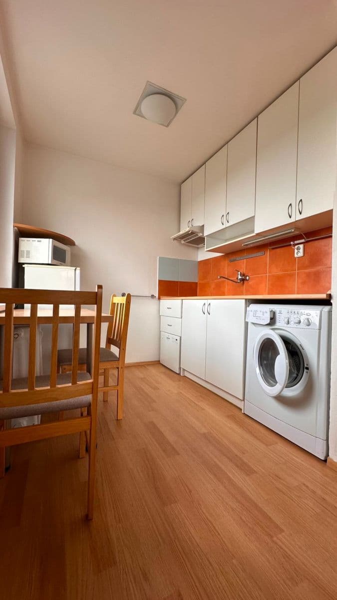1 bedroom with open-plan kitchen flat to rent, 42 m², Na Úlehli, Prague, Prague 1 bedroom with open-plan kitchen flat to rent, 42 m², Na Úlehli, Prague, Prague