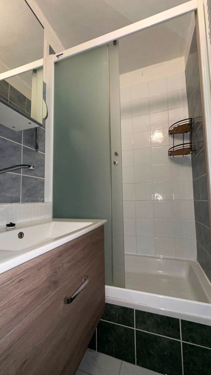 1 bedroom with open-plan kitchen flat to rent, 42 m², Na Úlehli, Prague, Prague 1 bedroom with open-plan kitchen flat to rent, 42 m², Na Úlehli, Prague, Prague