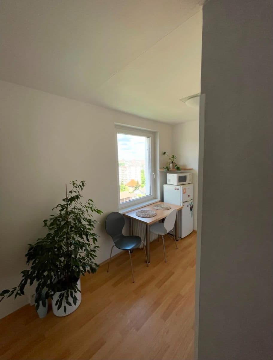 1 bedroom with open-plan kitchen flat to rent, 42 m², Na Úlehli, Prague, Prague 1 bedroom with open-plan kitchen flat to rent, 42 m², Na Úlehli, Prague, Prague