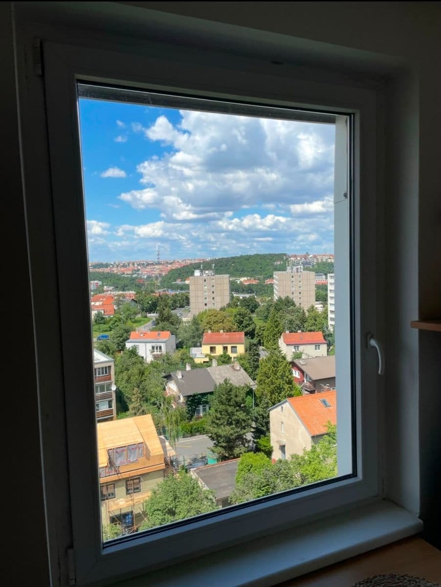 1 bedroom with open-plan kitchen flat to rent, 42 m², Na Úlehli, Prague, Prague 1 bedroom with open-plan kitchen flat to rent, 42 m², Na Úlehli, Prague, Prague