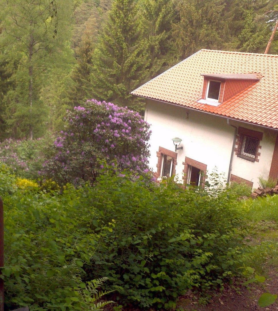 house for sale, 180 m², Lemberg, Rhineland-Palatinate house for sale, 180 m², Lemberg, Rhineland-Palatinate