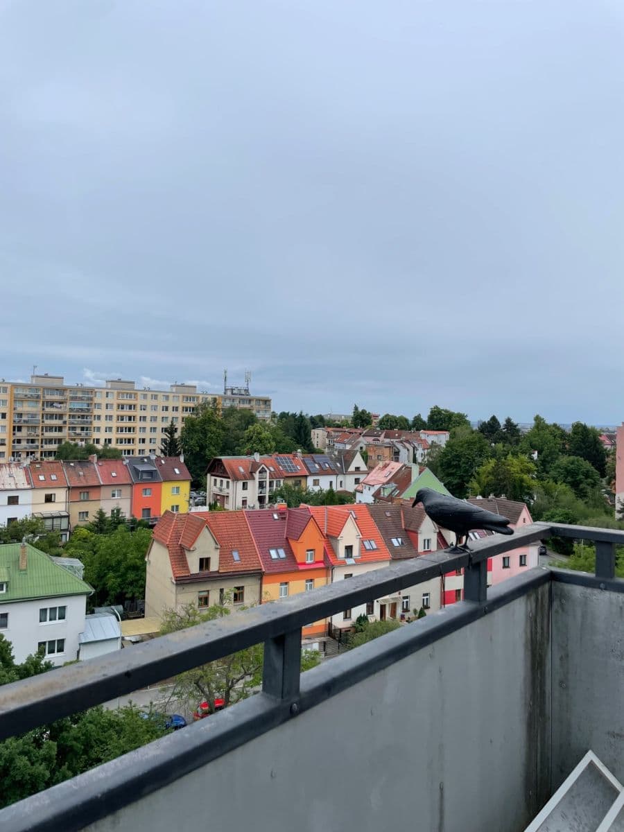 1 bedroom with open-plan kitchen flat to rent, 64 m², Teplická, Prague, Prague 1 bedroom with open-plan kitchen flat to rent, 64 m², Teplická, Prague, Prague