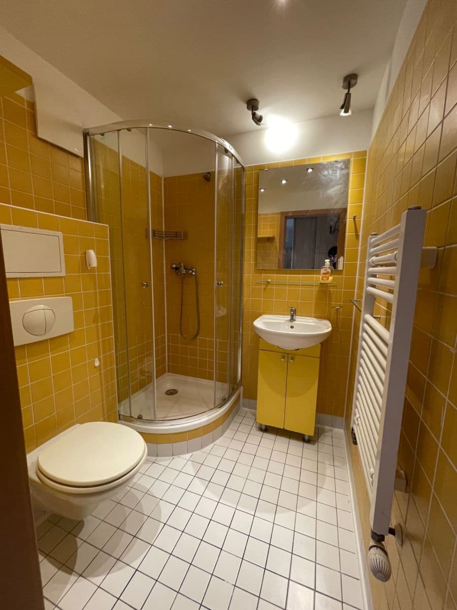 1 bedroom with open-plan kitchen flat to rent, 64 m², Teplická, Prague, Prague 1 bedroom with open-plan kitchen flat to rent, 64 m², Teplická, Prague, Prague