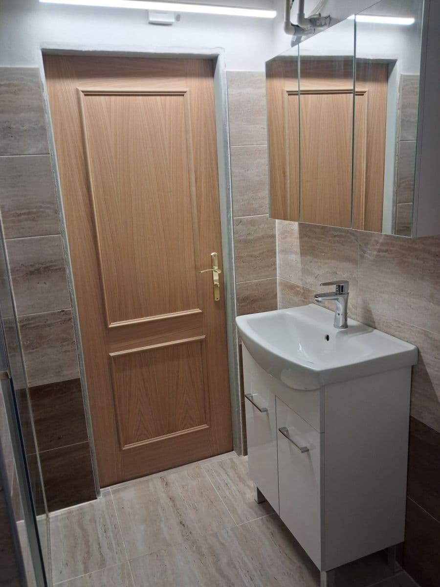 1 bedroom with open-plan kitchen flat to rent, 47 m², Vratislavova, Prague, Prague 1 bedroom with open-plan kitchen flat to rent, 47 m², Vratislavova, Prague, Prague