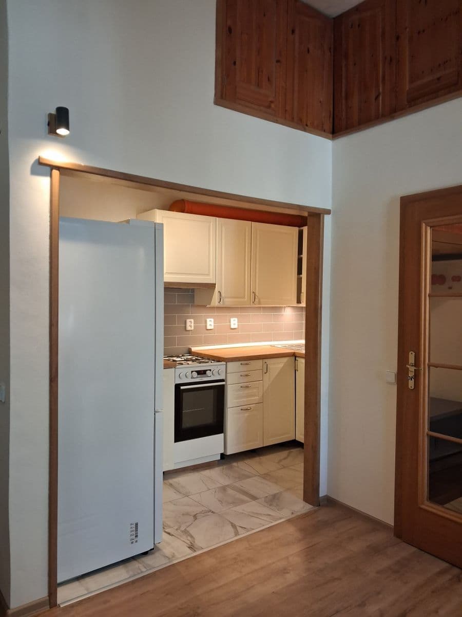 1 bedroom with open-plan kitchen flat to rent, 47 m², Vratislavova, Prague, Prague 1 bedroom with open-plan kitchen flat to rent, 47 m², Vratislavova, Prague, Prague