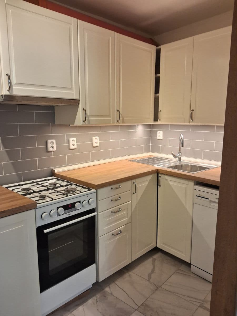 1 bedroom with open-plan kitchen flat to rent, 47 m², Vratislavova, Prague, Prague 1 bedroom with open-plan kitchen flat to rent, 47 m², Vratislavova, Prague, Prague