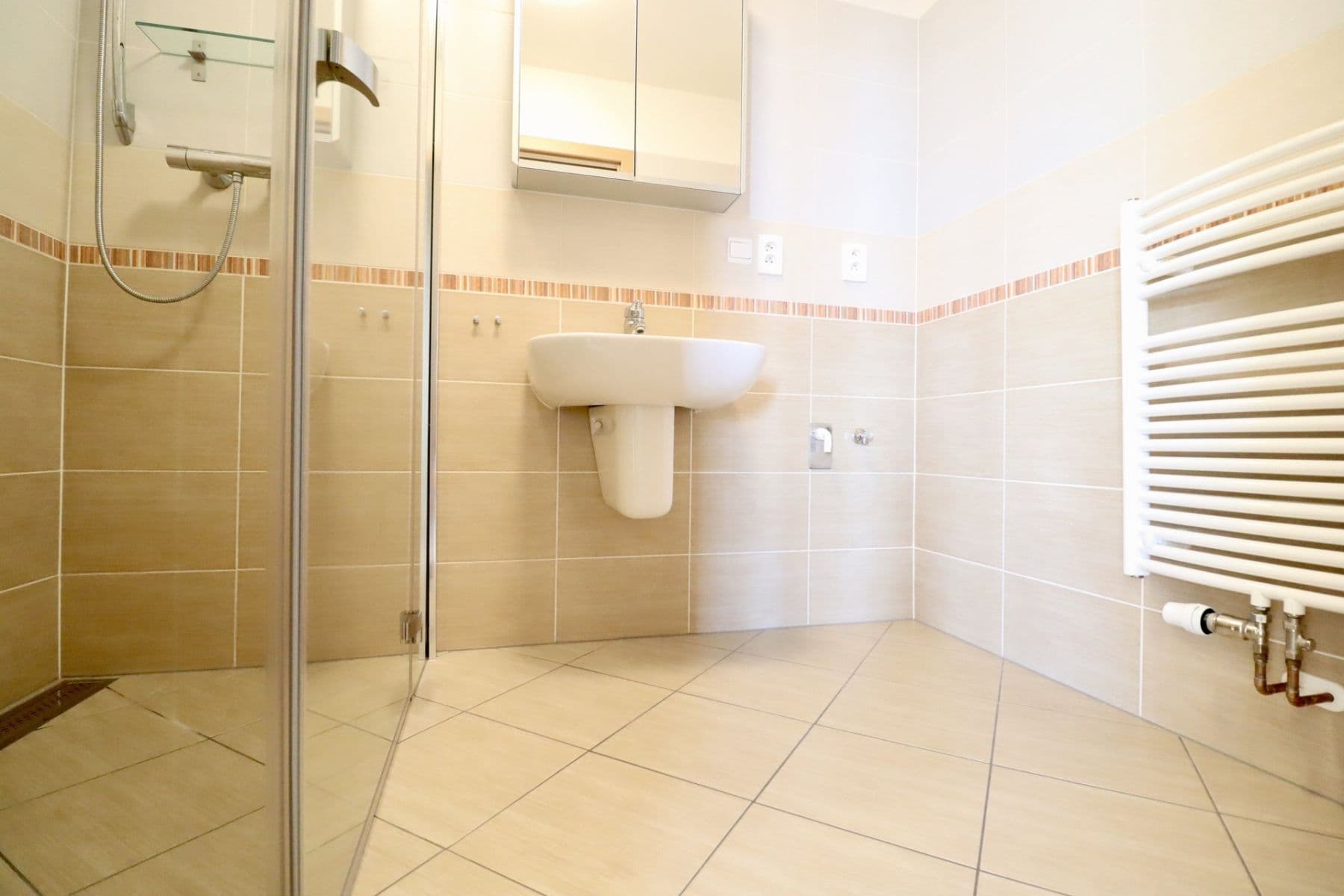1 bedroom with open-plan kitchen flat to rent, 67 m², Přeučilova, Prague, Prague 1 bedroom with open-plan kitchen flat to rent, 67 m², Přeučilova, Prague, Prague