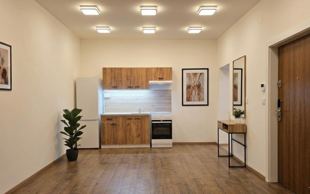 1 bedroom with open-plan kitchen flat to rent, 55 m², Žitomírská, Prague, Prague 1 bedroom with open-plan kitchen flat to rent, 55 m², Žitomírská, Prague, Prague