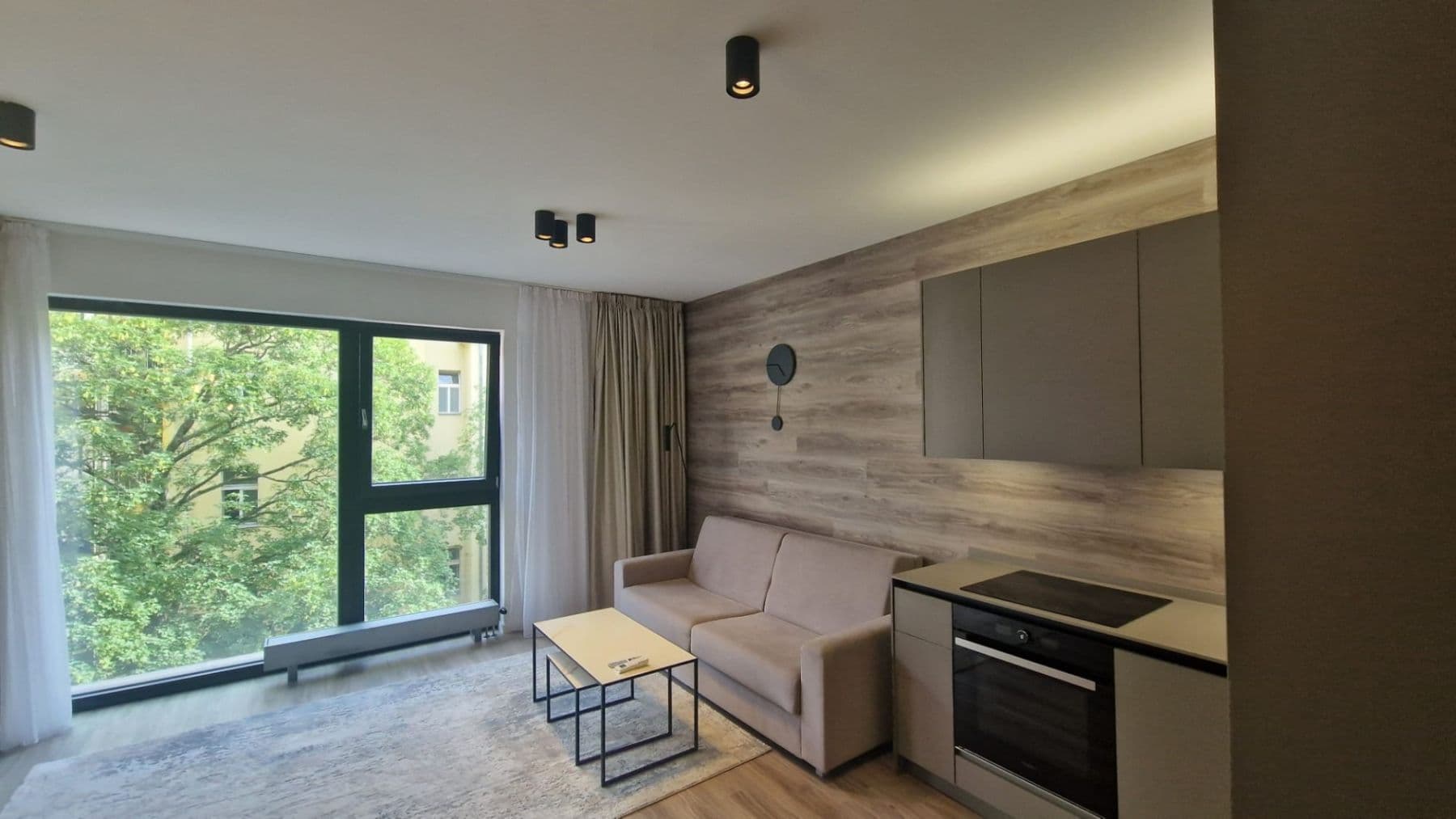 1 bedroom with open-plan kitchen flat to rent, 50 m², Staropramenná, Prague, Prague 1 bedroom with open-plan kitchen flat to rent, 50 m², Staropramenná, Prague, Prague
