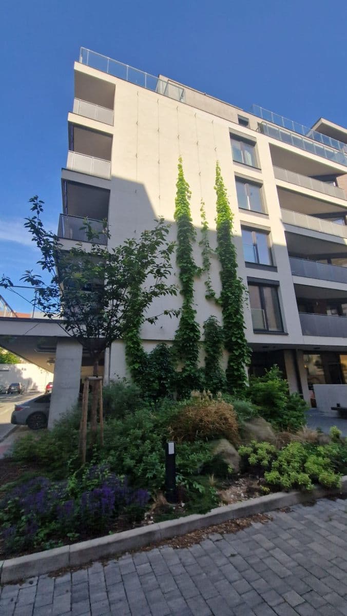 1 bedroom with open-plan kitchen flat to rent, 50 m², Staropramenná, Prague, Prague 1 bedroom with open-plan kitchen flat to rent, 50 m², Staropramenná, Prague, Prague