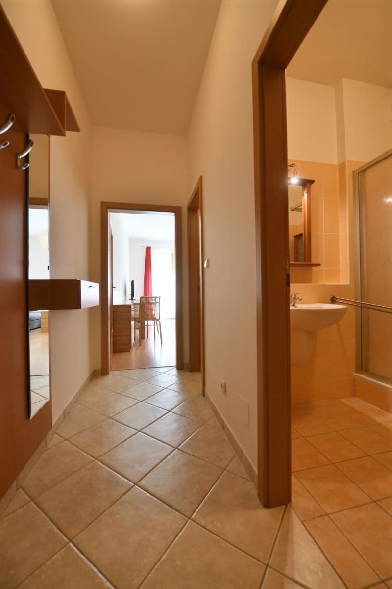 1 bedroom with open-plan kitchen flat to rent, 53 m², Pod Haltýřem, Prague, Prague 1 bedroom with open-plan kitchen flat to rent, 53 m², Pod Haltýřem, Prague, Prague
