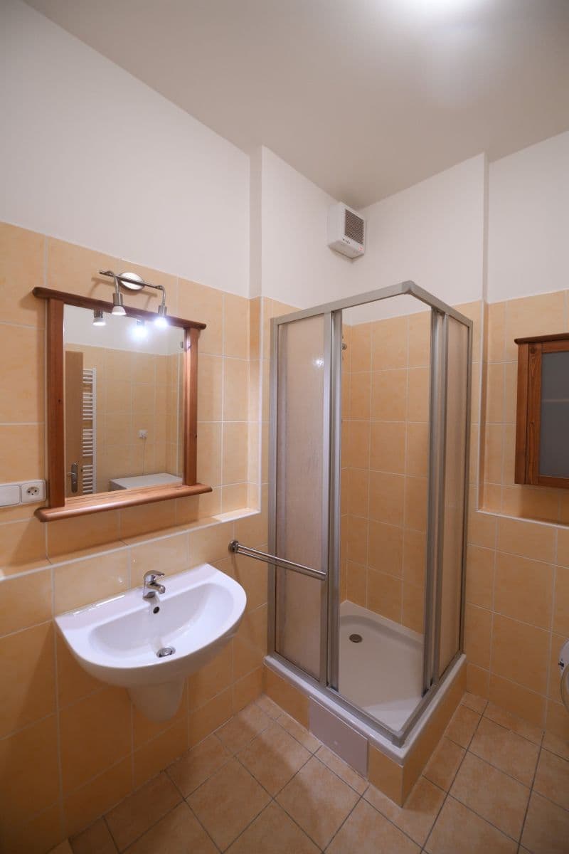 1 bedroom with open-plan kitchen flat to rent, 53 m², Pod Haltýřem, Prague, Prague 1 bedroom with open-plan kitchen flat to rent, 53 m², Pod Haltýřem, Prague, Prague