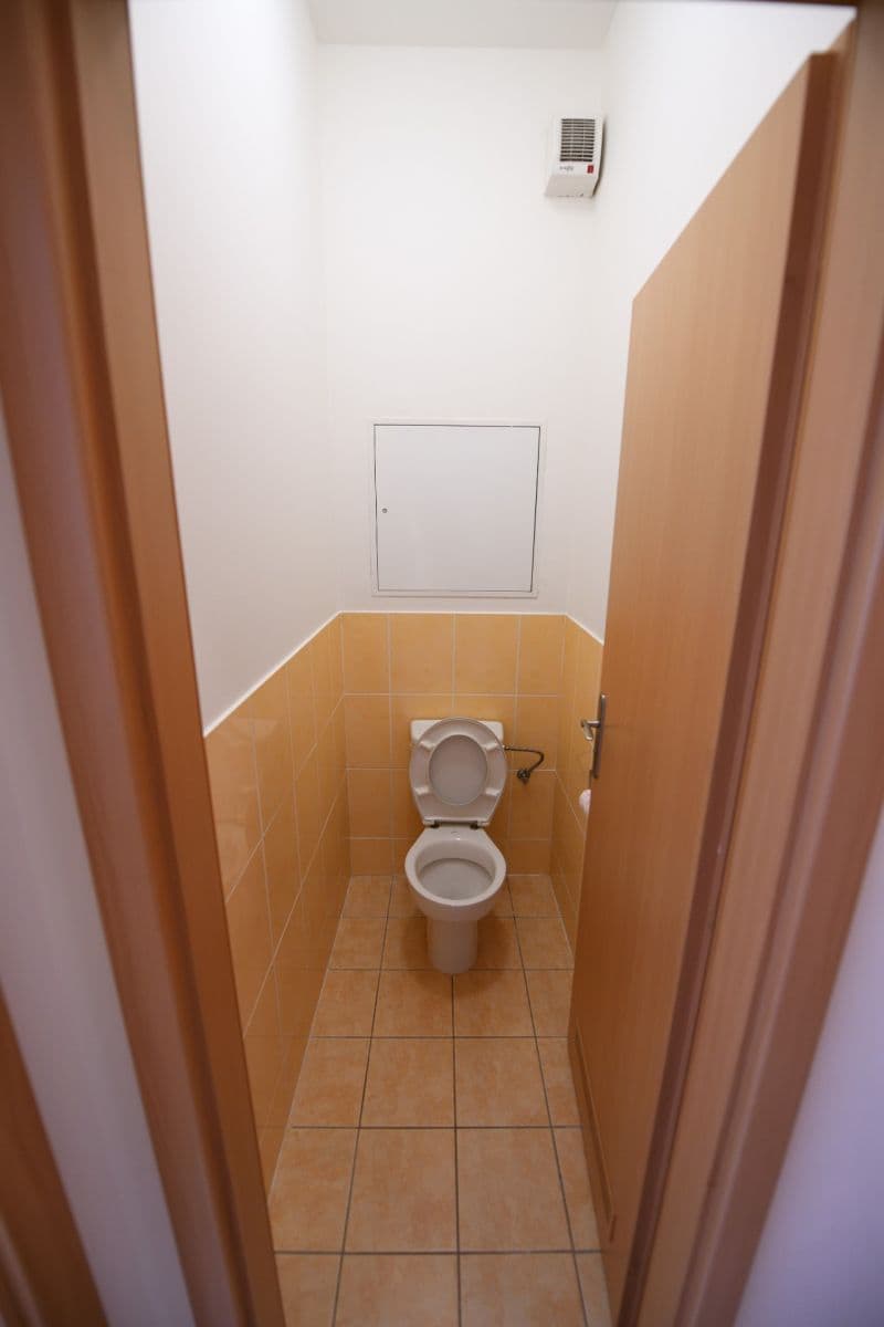 1 bedroom with open-plan kitchen flat to rent, 53 m², Pod Haltýřem, Prague, Prague 1 bedroom with open-plan kitchen flat to rent, 53 m², Pod Haltýřem, Prague, Prague