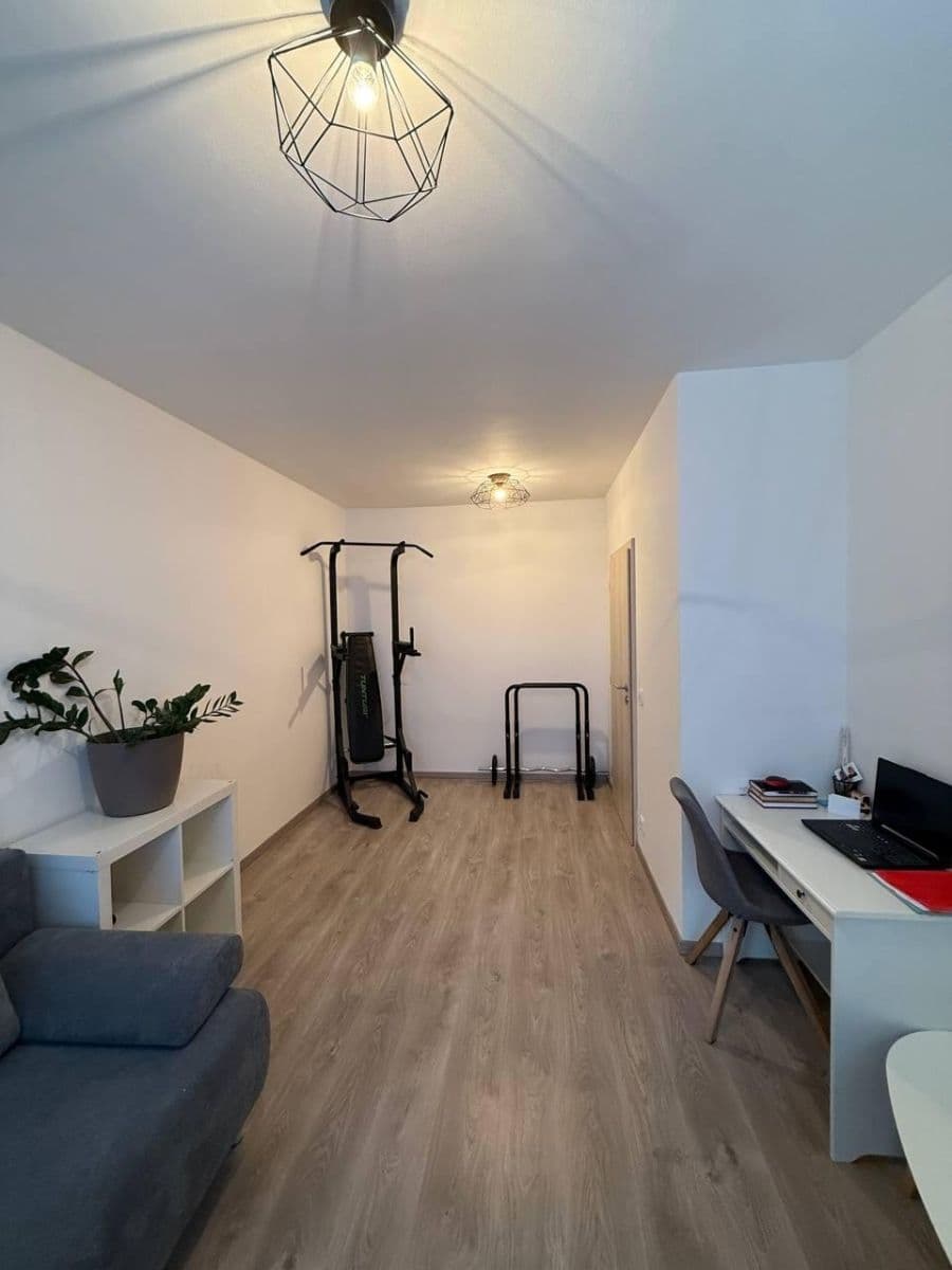 2 bedroom with open-plan kitchen flat for sale, 98 m², Za Lípou, Prague, Prague 2 bedroom with open-plan kitchen flat for sale, 98 m², Za Lípou, Prague, Prague