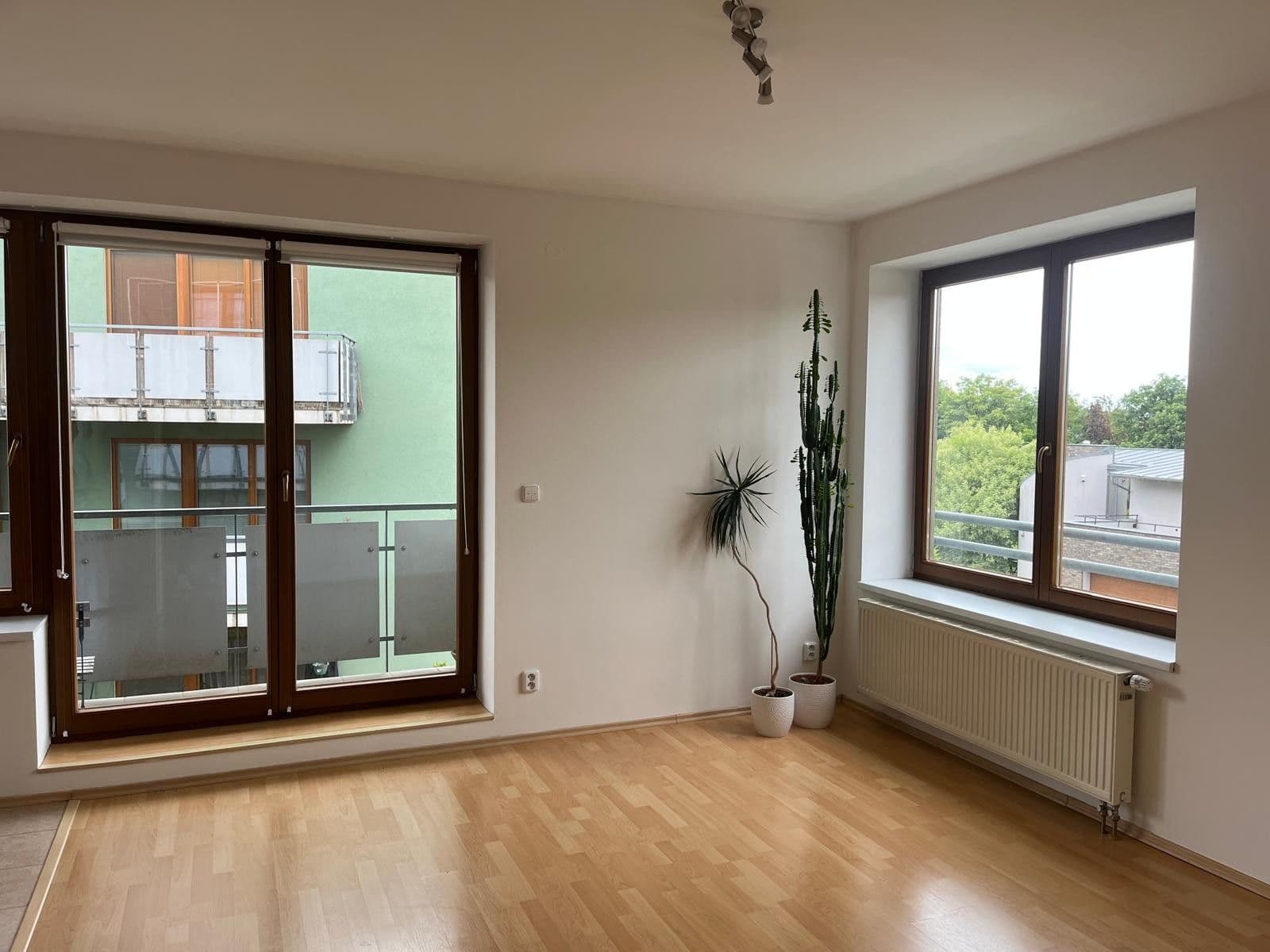 1 bedroom with open-plan kitchen flat to rent, 50 m², U Jízdárny, Prague, Prague 1 bedroom with open-plan kitchen flat to rent, 50 m², U Jízdárny, Prague, Prague