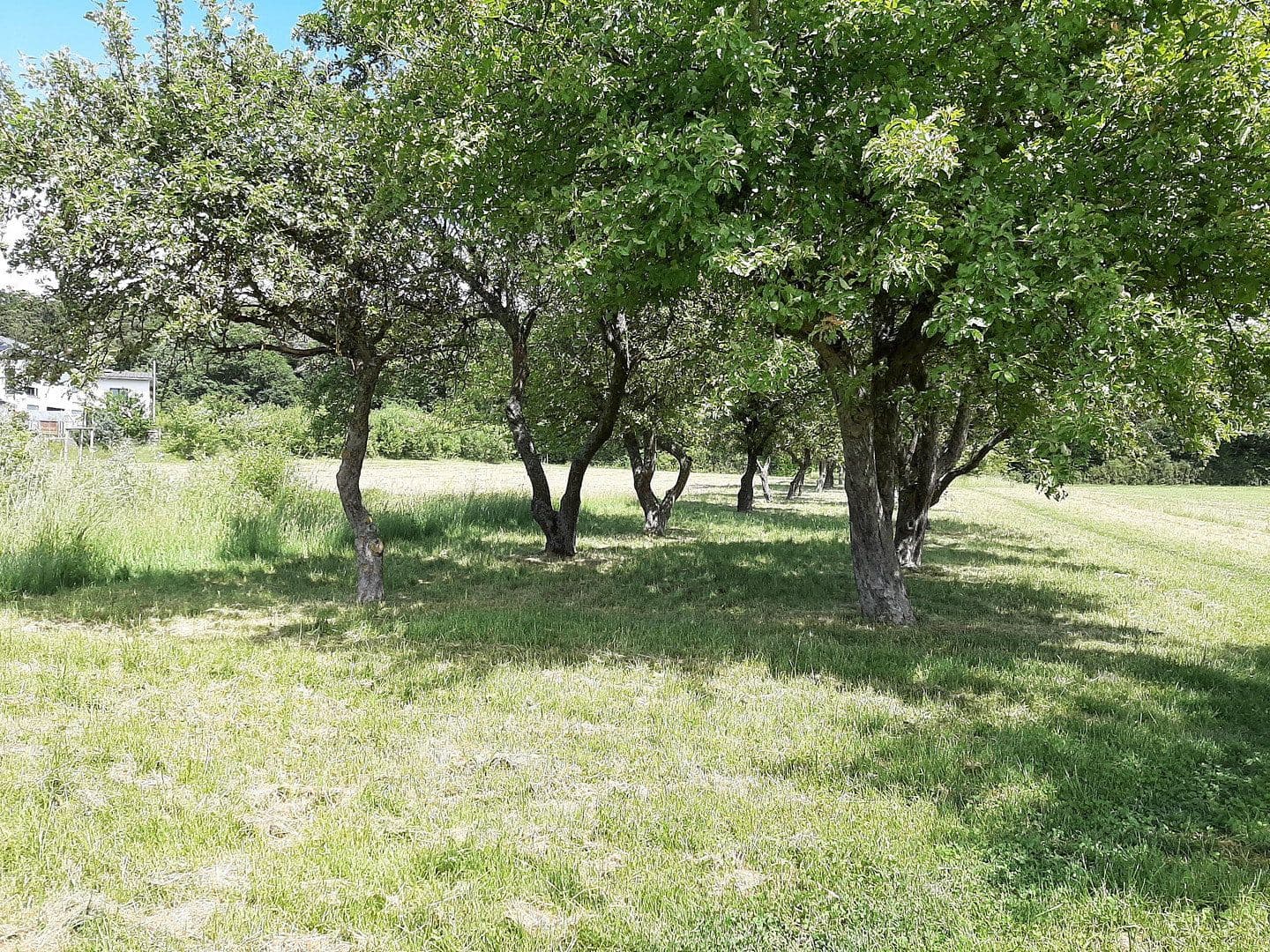 plot for sale, 329 m², Fasanenstraße 14, Kist, Bavaria plot for sale, 329 m², Fasanenstraße 14, Kist, Bavaria