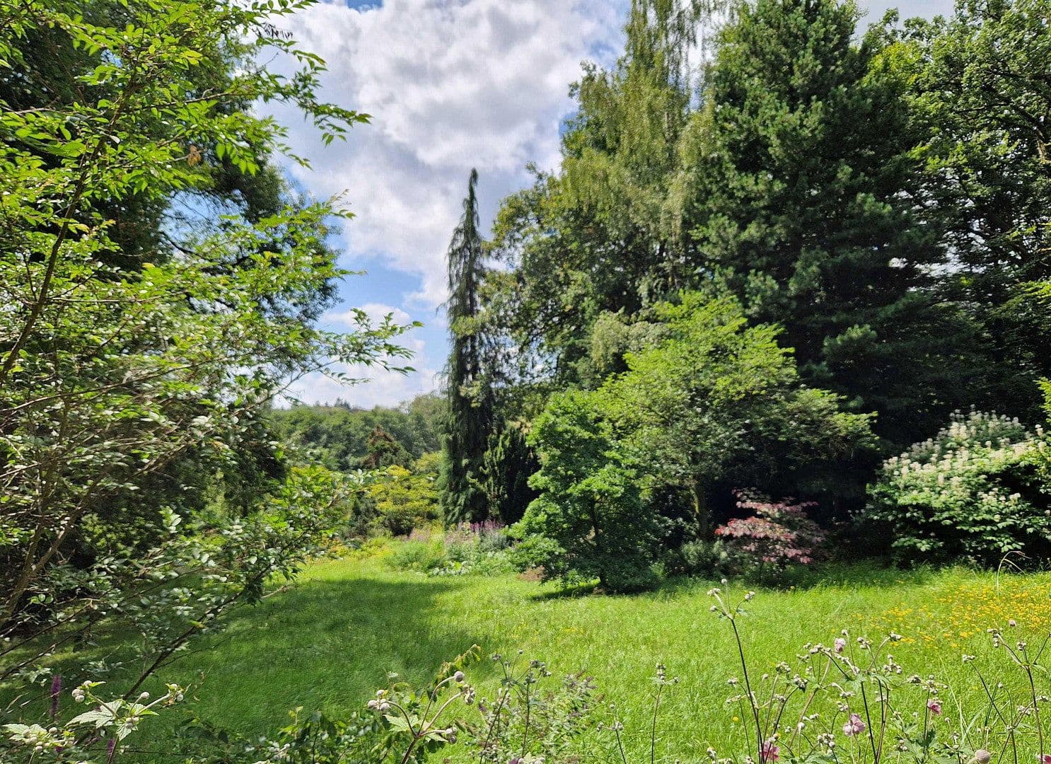 plot for sale, 1,890 m², Viehweideweg 18, Hofheim am Taunus, Hesse plot for sale, 1,890 m², Viehweideweg 18, Hofheim am Taunus, Hesse