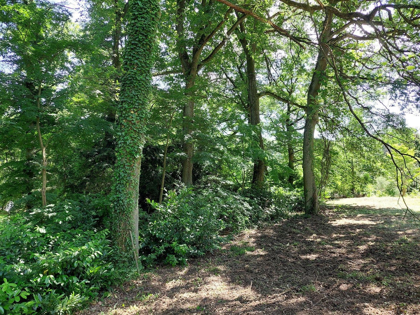 plot for sale, 1,890 m², Viehweideweg 18, Hofheim am Taunus, Hesse plot for sale, 1,890 m², Viehweideweg 18, Hofheim am Taunus, Hesse