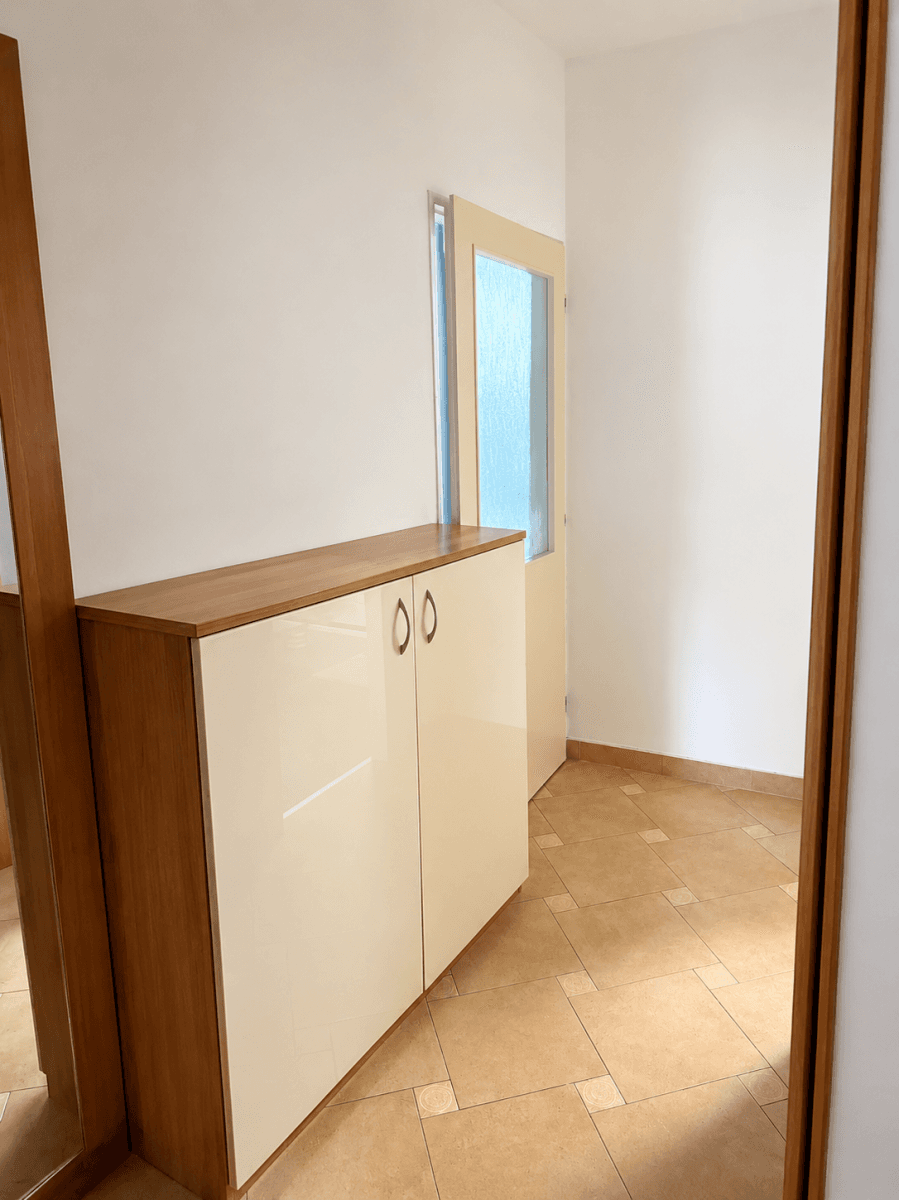 1 bedroom with open-plan kitchen flat for sale, 54 m², Prague, Prague 1 bedroom with open-plan kitchen flat for sale, 54 m², Prague, Prague