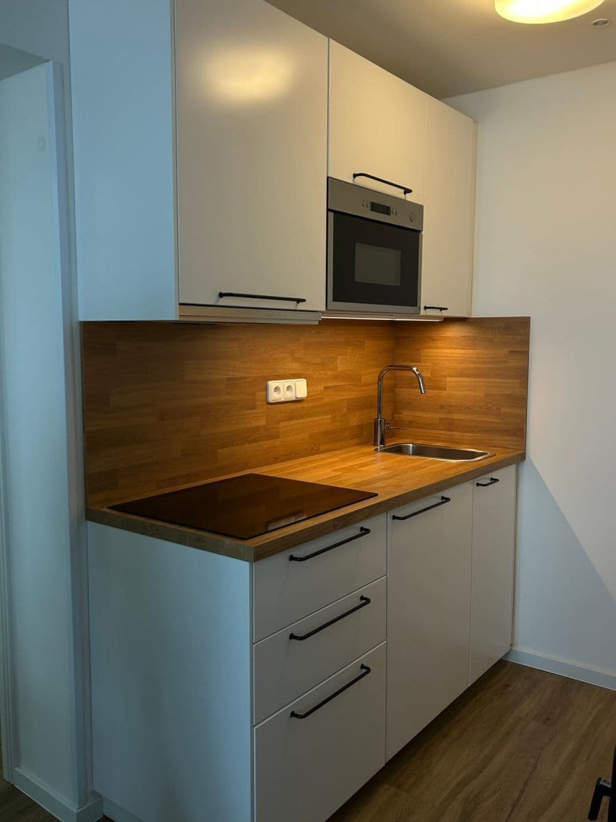 1 bedroom with open-plan kitchen flat to rent, 38 m², Sládkova, Prague, Prague 1 bedroom with open-plan kitchen flat to rent, 38 m², Sládkova, Prague, Prague